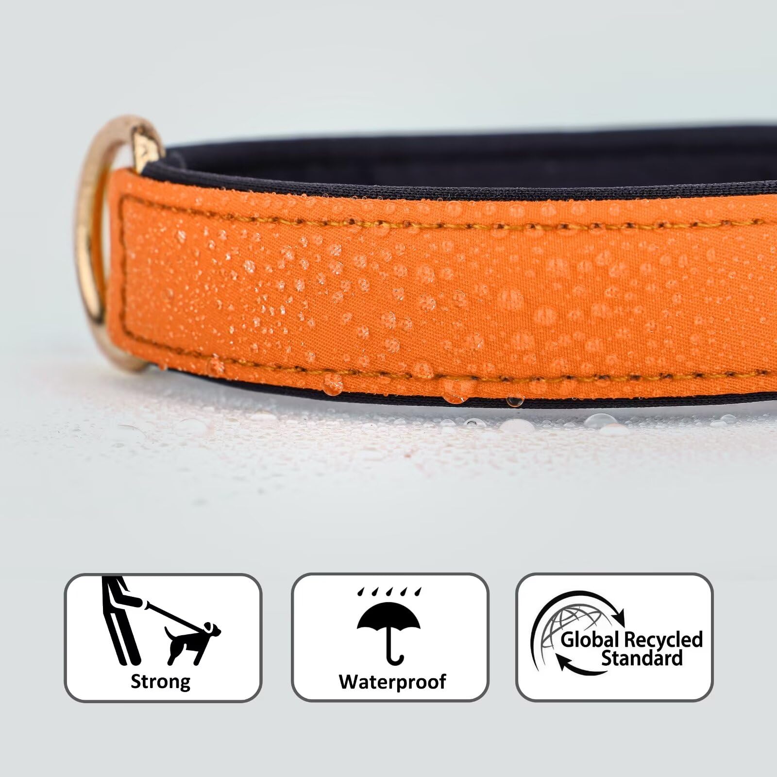 Didog Soft Padded Dog Collars For Medium Dogs, Lightweight And Breathable Dog Collar Waterproof With Metal Buckle, Orange, M